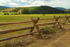 Grouse Creek fence 68